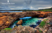 Pelican Adventures13