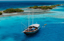 Pelican Adventures11