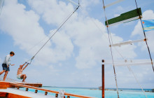 Pelican Adventures13