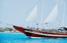 Pelican Adventures14