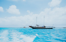 Pelican Adventures16