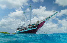 Pelican Adventures17