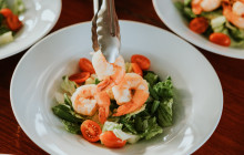 Pelican Adventures13