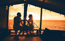 Pelican Adventures11