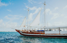 Pelican Adventures12