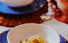 Pelican Adventures13