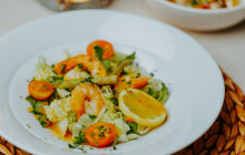 Pelican Adventures17