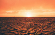 Pelican Adventures18