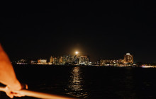 Pelican Adventures11