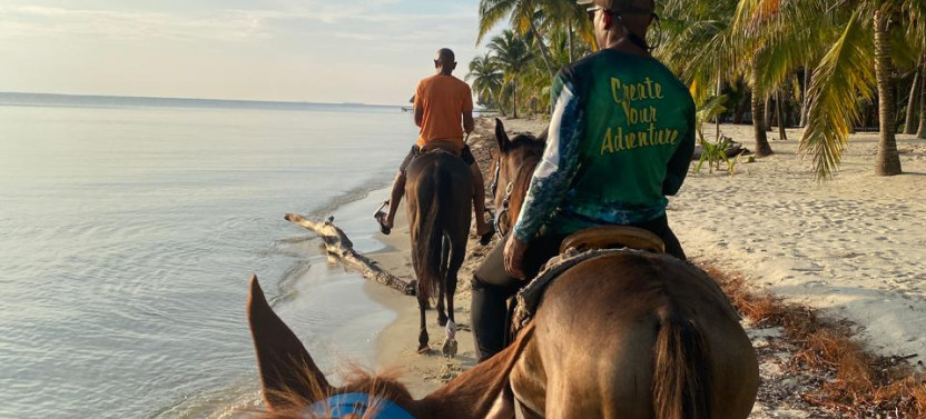 Small Group Belize Beach Horseback Riding Tour