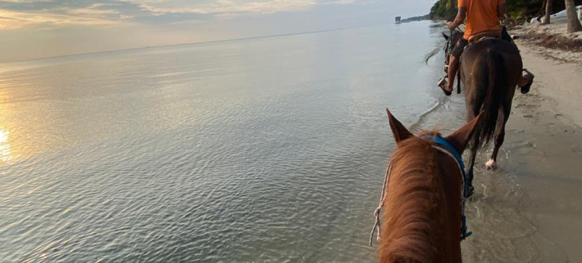 Small Group Belize Beach Horseback Riding Tour