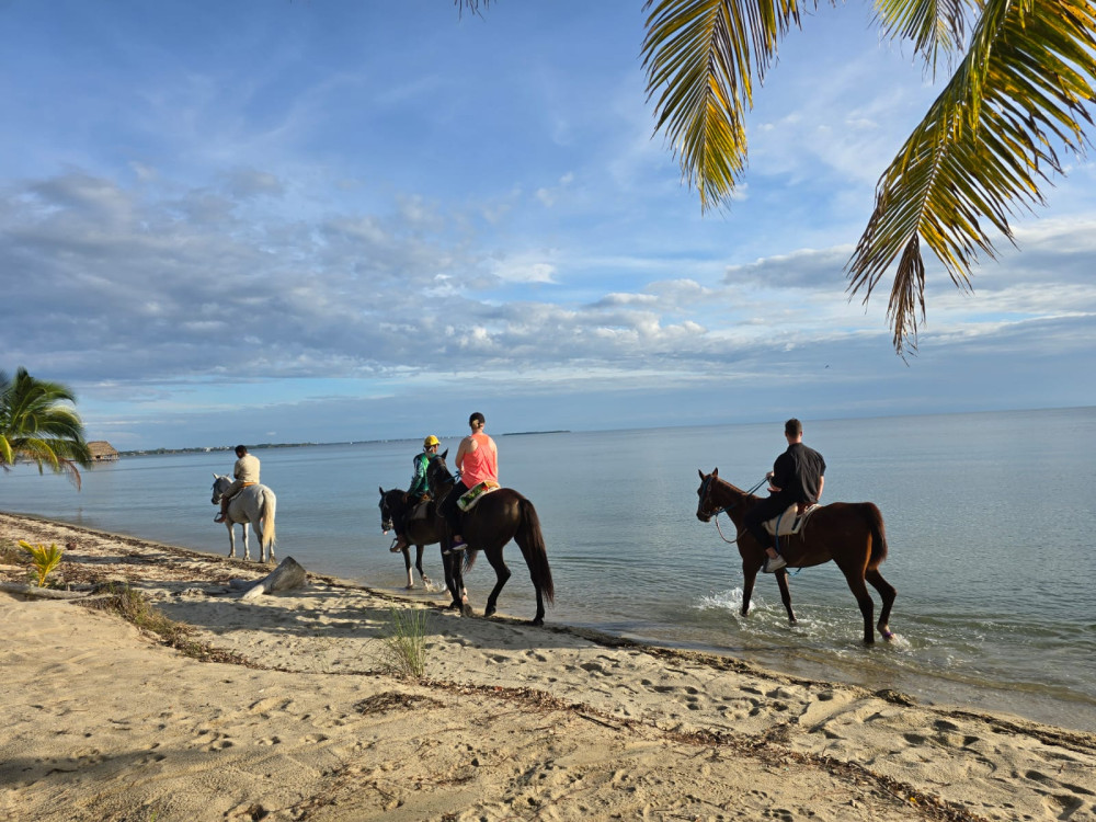 Small Group Belize Beach Horseback Riding Tour