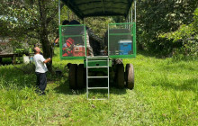 Barefoot Services4