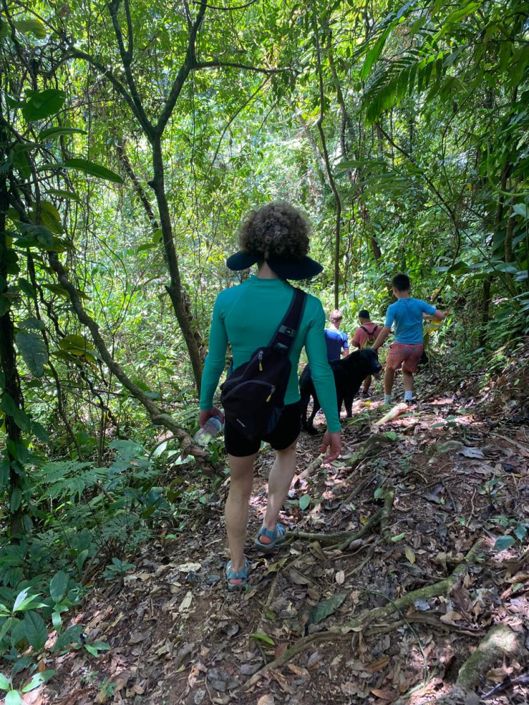 Chasing Waterfalls - Deep Rainforest Exploration