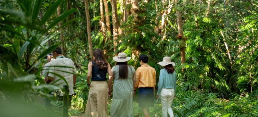 Waterfall, Wetlands and Scenic Rail Guided Day Tour from Northern Beaches