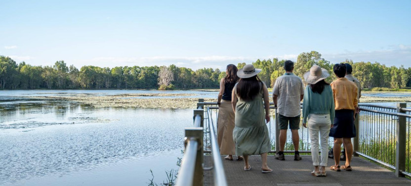 Waterfall, Wetlands and Scenic Rail Guided Day Tour from Port Douglas