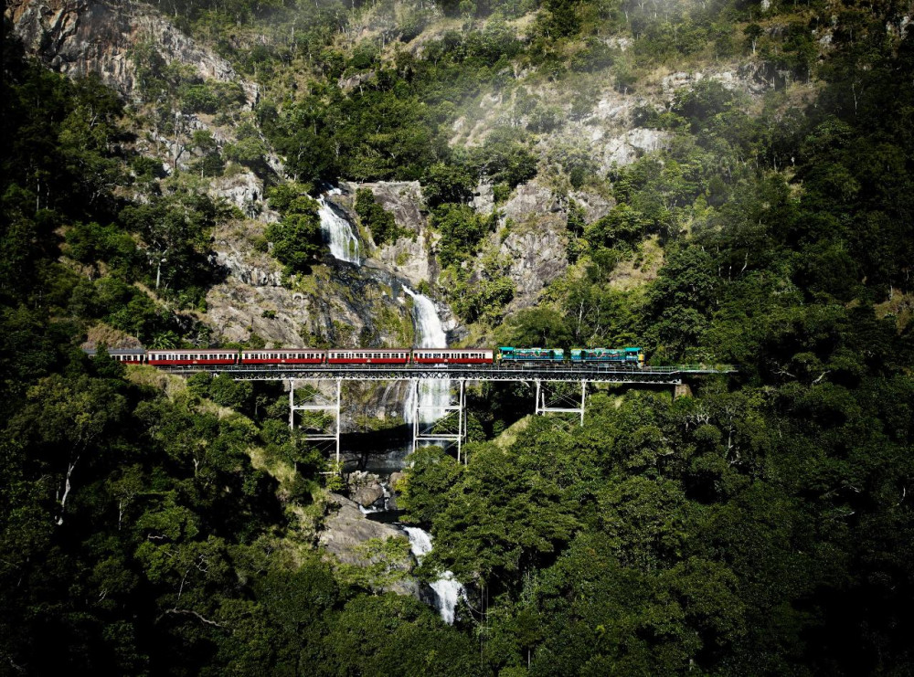 Waterfall, Wetlands and Scenic Rail Guided Day Tour from Port Douglas