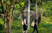 Phuket Elephant Sanctuary3