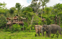 Phuket Elephant Sanctuary5