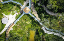 Phuket Elephant Sanctuary9