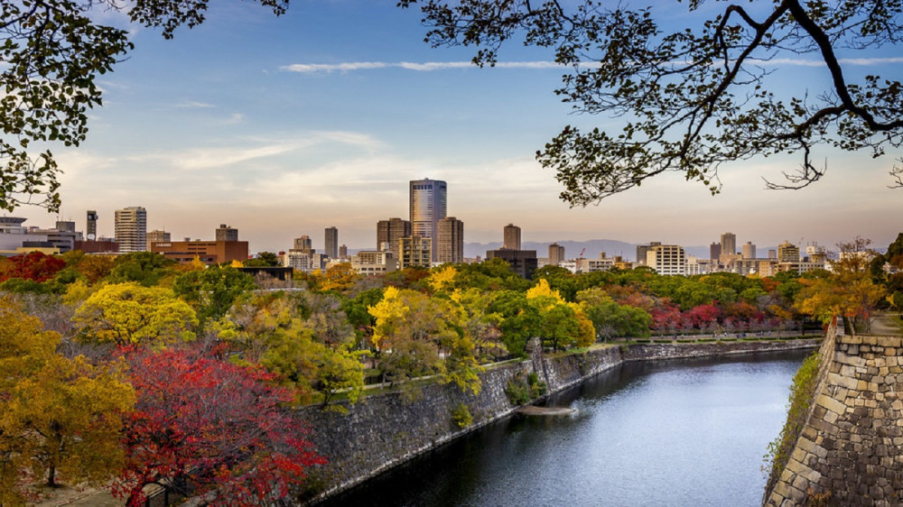 Osaka Castle 3-Hour Historical Walking Tour with Museum and Garden