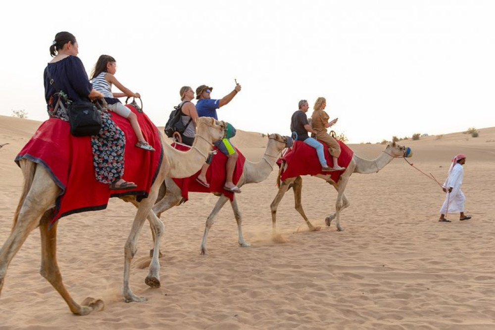 Orient Tours LLC