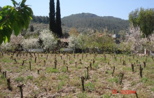 Vip Ephesus Tours4