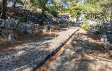 Vip Ephesus Tours6