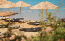 Vip Ephesus Tours1