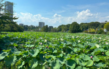 TripGuru - ROW6