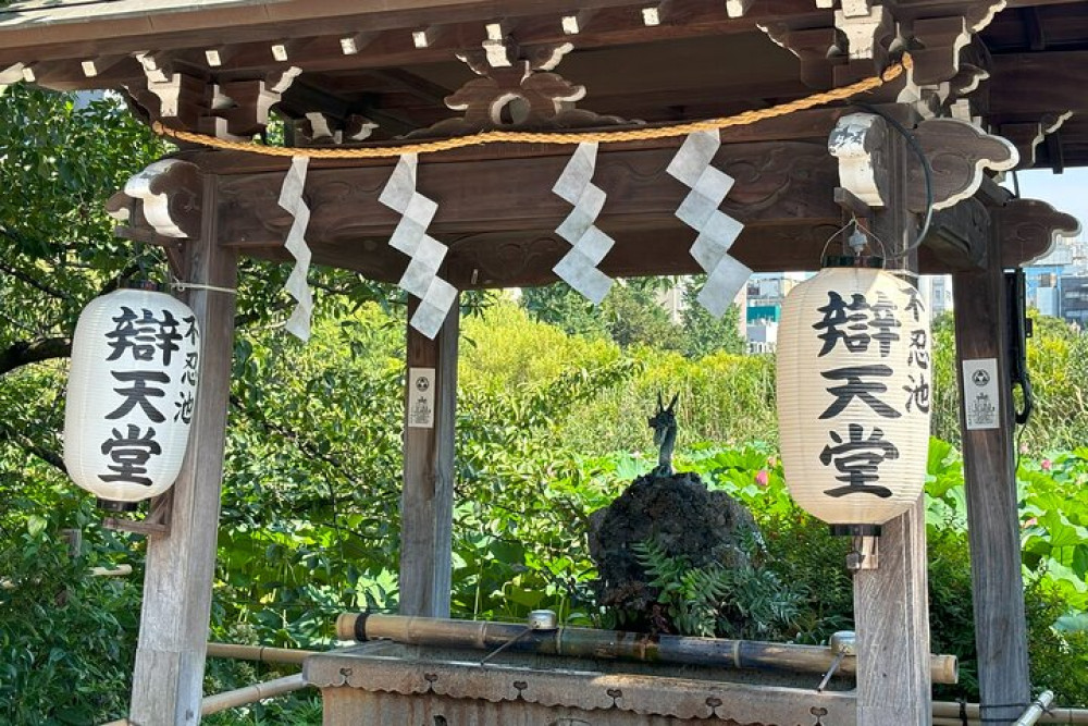 Ueno Park and Ameyoko Street Food Market Half Day Walking Tour