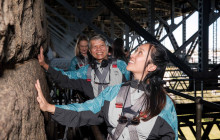 BridgeClimb Sydney1