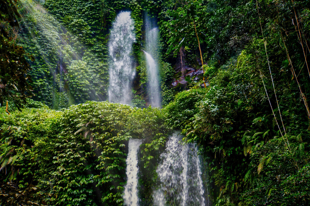 Full-Day Private Sendang Gile Waterfall & Senaru Village Tour