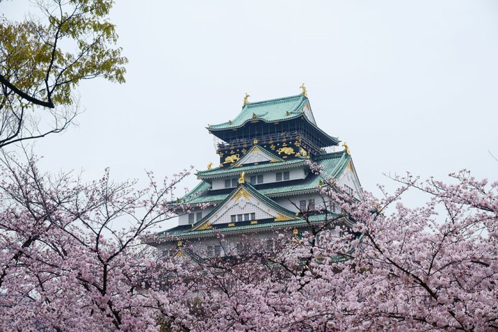 Osaka Customized Half-Day Tour with English-Speaking Guide