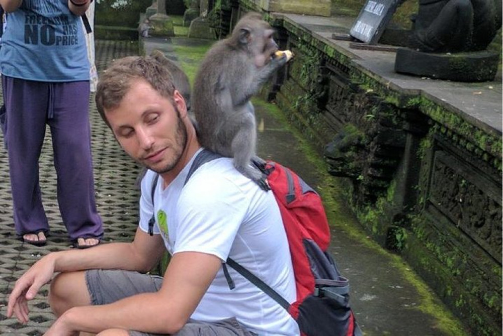 Ubud Highlights with Monkey Forest Rice Terraces and Waterfall