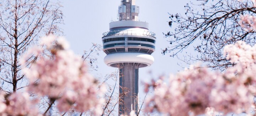 Best of Toronto City Tour with Boat Cruise & CN Tower