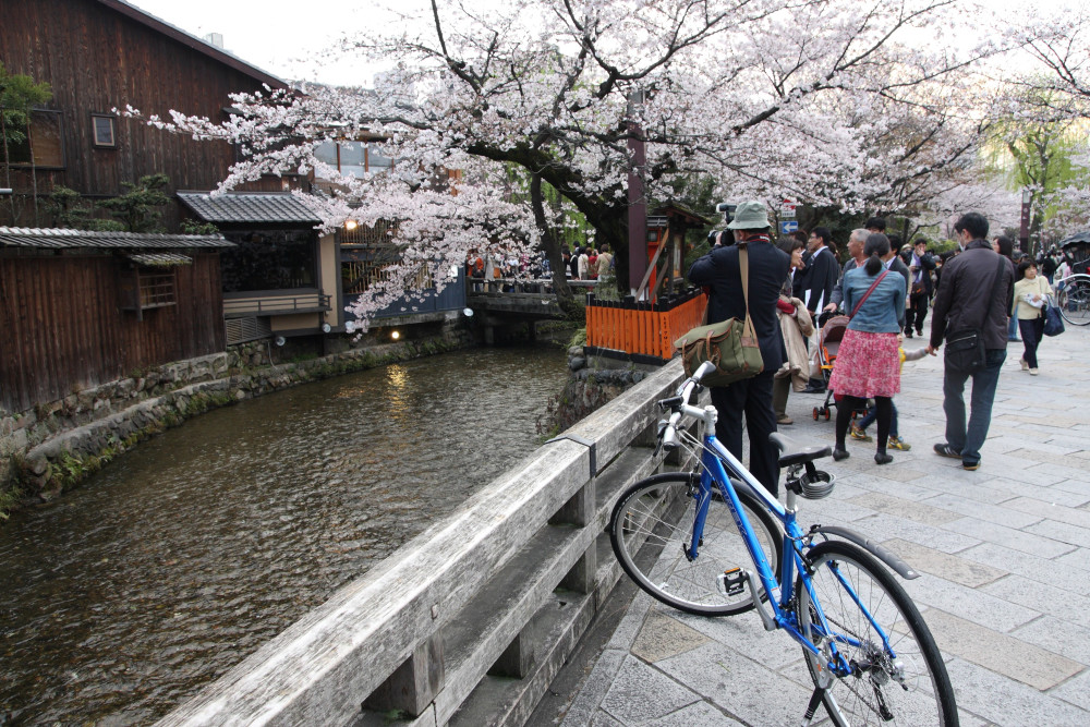 Half-Day Kyoto Bicycle Tour of Gion, Philosopher’s Path & Temples