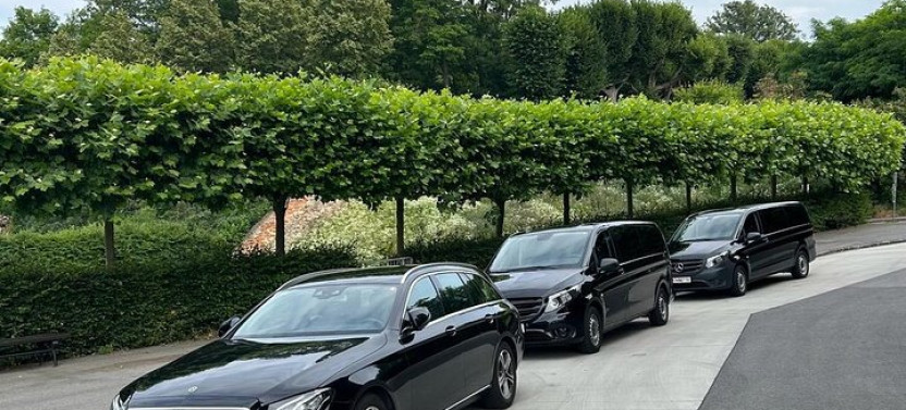 Private Day Tour to Salzburg From Vienna with Local Guide