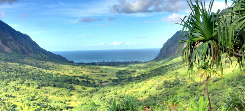Hollywood Movie Sites Tour at Kualoa Ranch