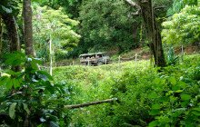 Kualoa Ranch Jungle Jeep Expedition