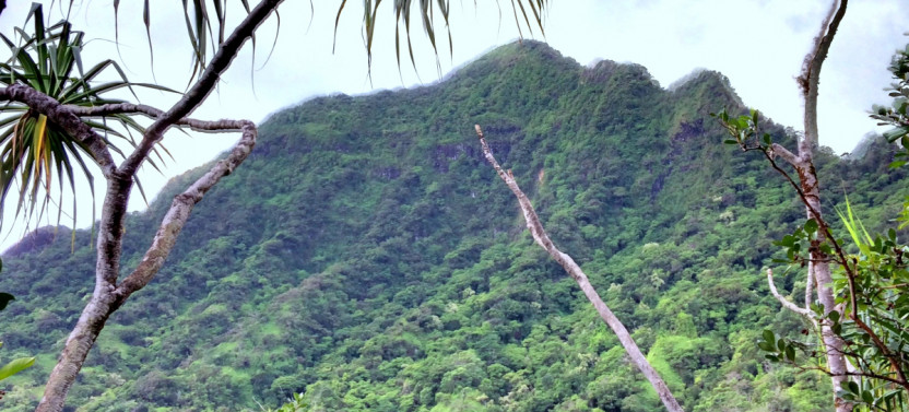 Kualoa Ranch Jungle Expedition