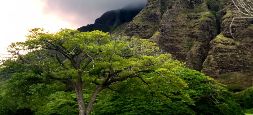 Kualoa Ranch Horseback Walking Tours