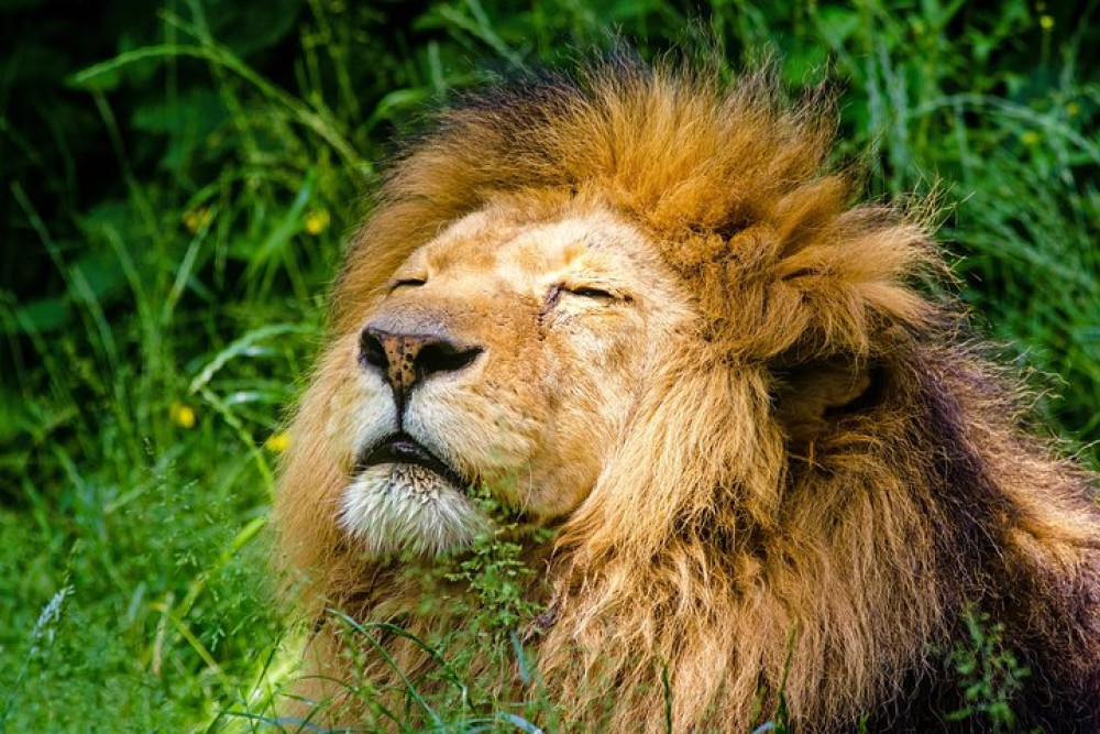 Krakow Zoo with Hotel Transfers