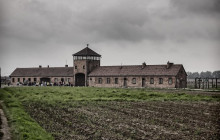 Thousand Miles Sp z o .o.1