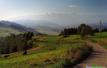 Thousand Miles Sp z o .o.5