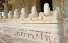 Agila Tours Riviera Maya22