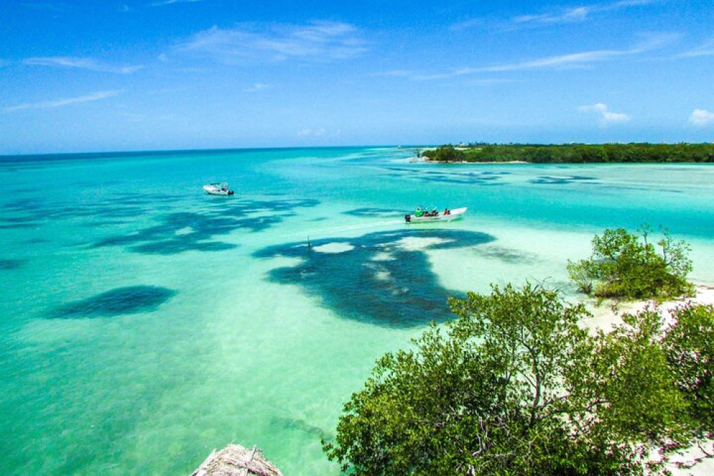 Small Group: Holbox Island Tour with Passion Island and Punta Mosquito