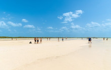Agila Tours Riviera Maya2