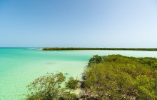 Agila Tours Riviera Maya8