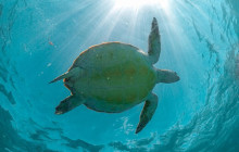 Agila Tours Riviera Maya16